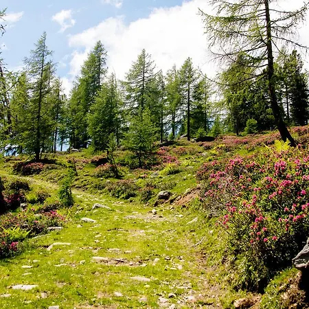 Praegant * 巴德小基希海姆